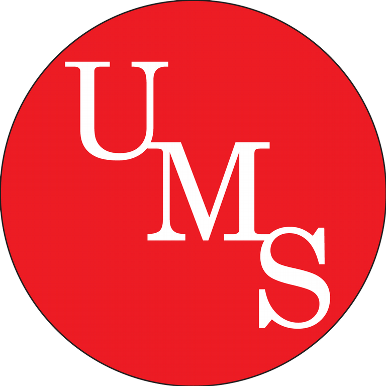 United Solutions Company Company Profile